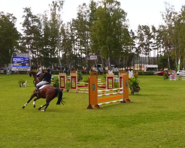 Reitturnier Etingen 2022