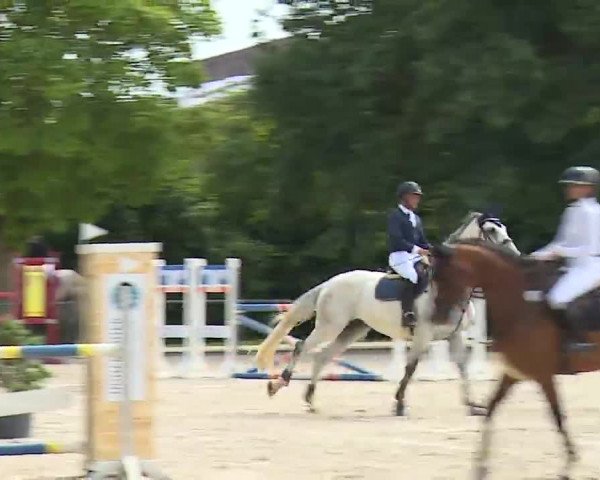 Reitturnier Rot am See- Musdorf 2022