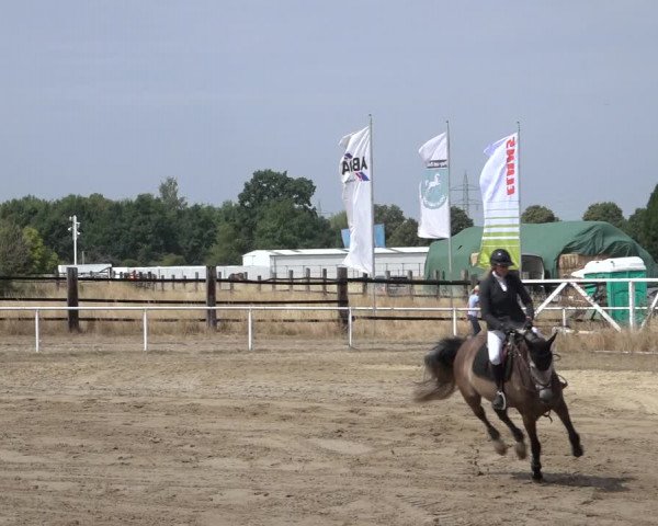 Reitturnier Volkmarode 2022
