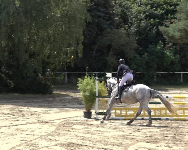 Reitturnier Volkmarode 2022