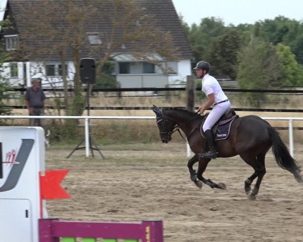 Reitturnier Volkmarode 2022