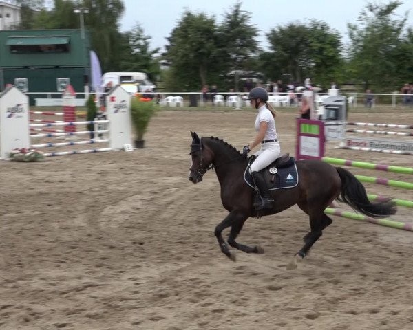 Reitturnier Volkmarode 2022