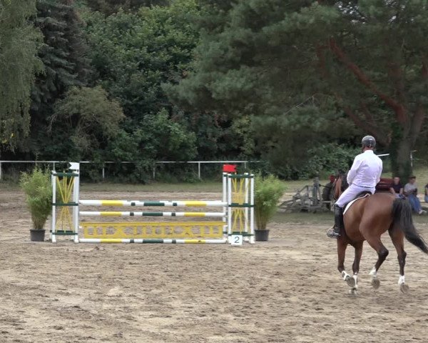 Reitturnier Volkmarode 2022