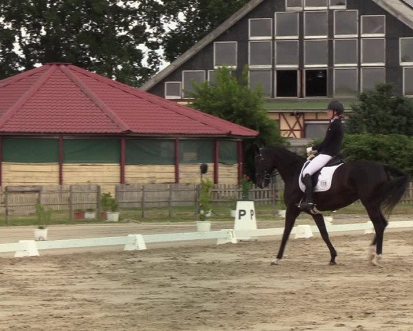 Reitturnier Schülp / Rendsburg 2022