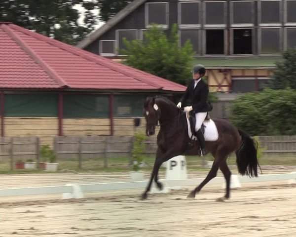Reitturnier Schülp / Rendsburg 2022