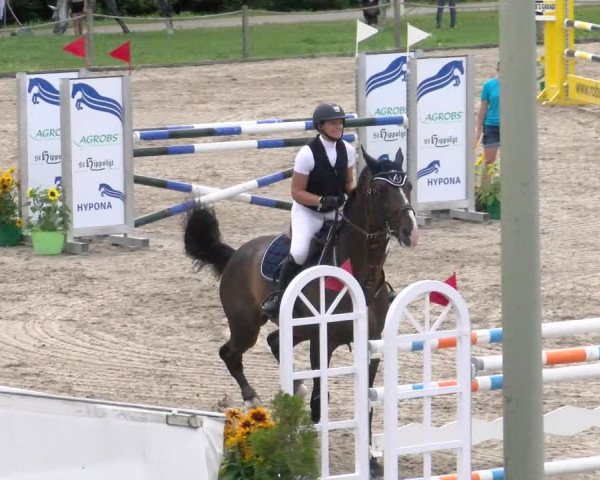 Reitturnier Gossau 2022