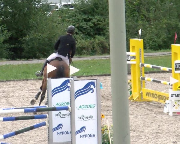 Reitturnier Gossau 2022
