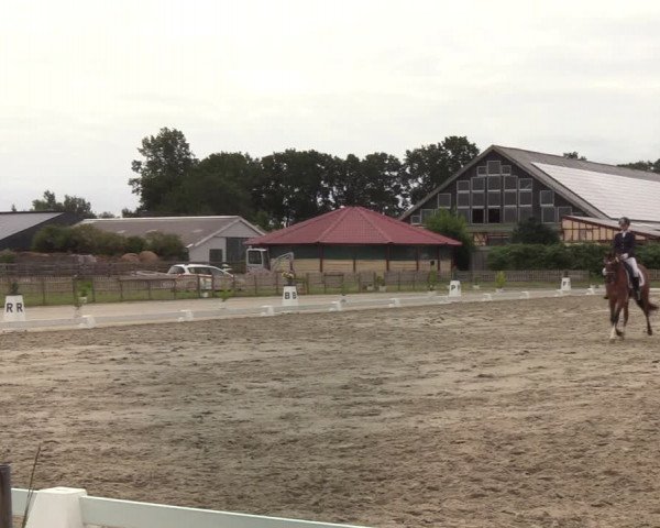 Reitturnier Schülp / Rendsburg 2022