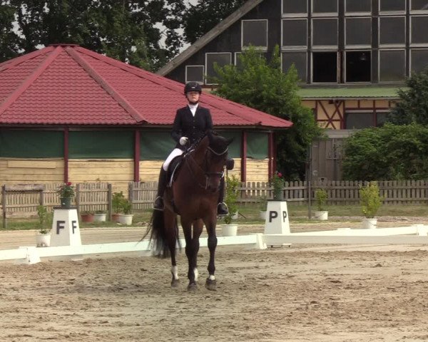 Reitturnier Schülp / Rendsburg 2022