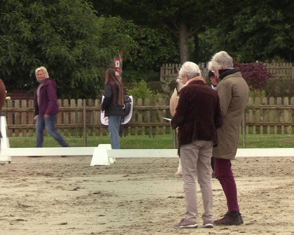 Reitturnier Schülp / Rendsburg 2022