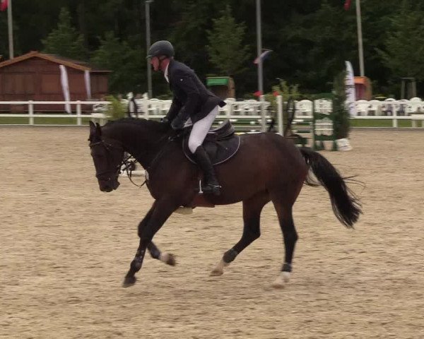 Reitturnier Ladelunder Springtage 2022