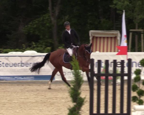 Reitturnier Ladelunder Springtage 2022