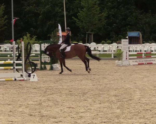 Reitturnier Ladelunder Springtage 2022