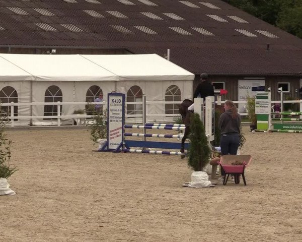 Reitturnier Ladelunder Springtage 2022