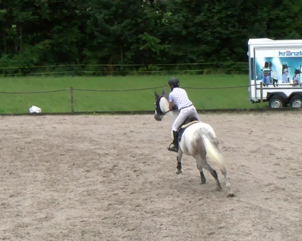 Reitturnier Gossau 2022