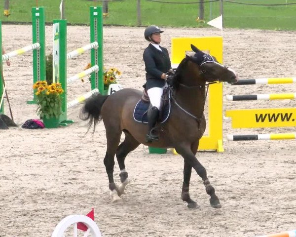 Reitturnier Gossau 2022