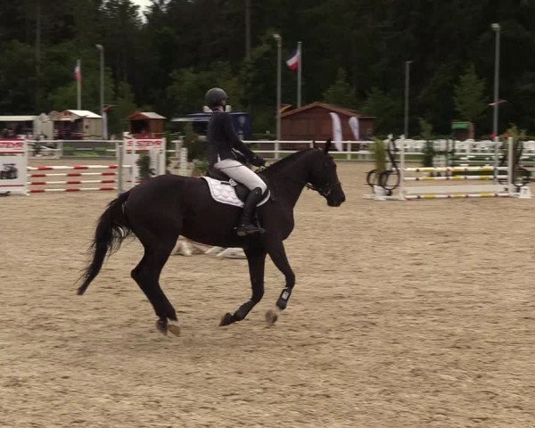 Reitturnier Ladelunder Springtage 2022