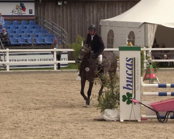 Reitturnier Ladelunder Springtage 2022