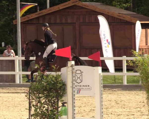 Reitturnier Ladelunder Springtage 2022