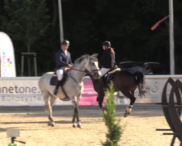 Reitturnier Ladelunder Springtage 2022