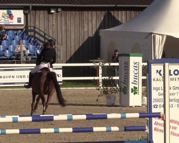 Reitturnier Ladelunder Springtage 2022