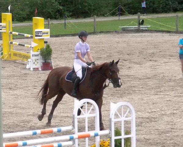 Reitturnier Gossau 2022