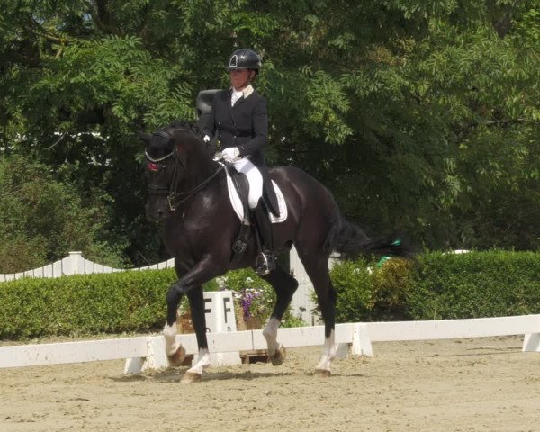 Reitturnier Neu-Anspach 2022