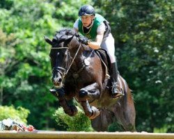 Springpferd RF Tabasco (Trakehner, 2000, von Heraldik xx)