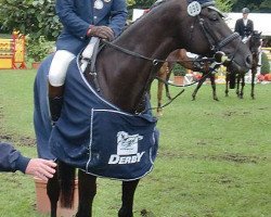 eventing horse River of Joy 4 (Württemberger, 2001, from Rubicell)
