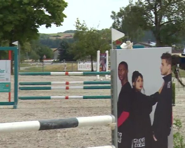 Reitturnier Rot am See- Musdorf 2022