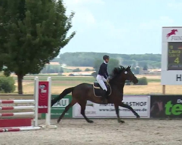 Reitturnier Rot am See- Musdorf 2022
