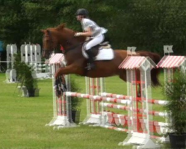 jumper Weihaleah (Hanoverian, 2000, from Welser)