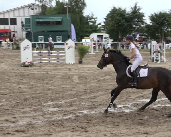 Reitturnier Volkmarode 2022