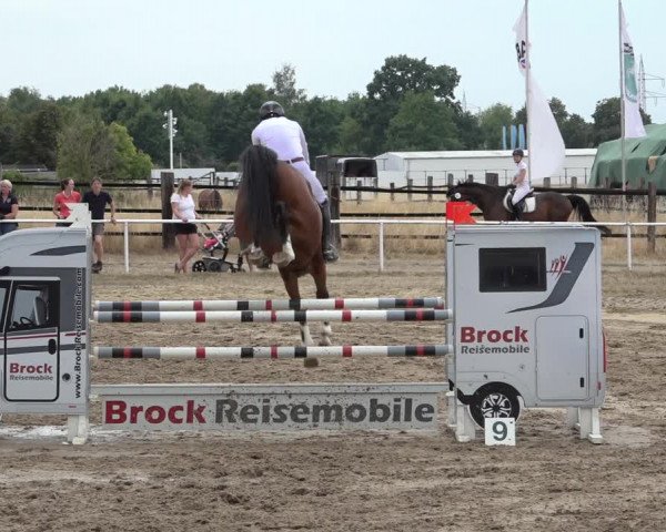 Reitturnier Volkmarode 2022