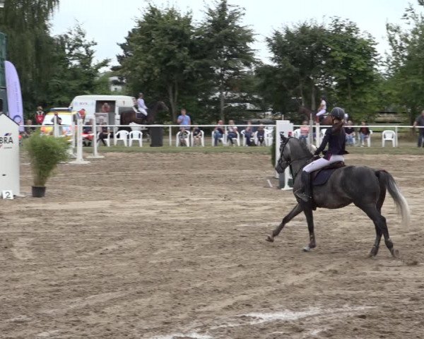 Reitturnier Volkmarode 2022