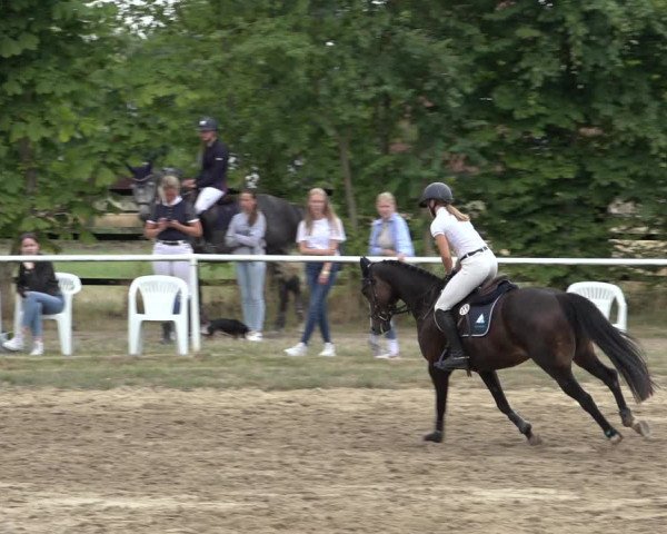Reitturnier Volkmarode 2022