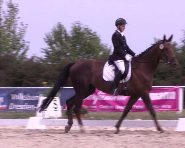 Reitturnier Baschütz bei Bautzen 2022