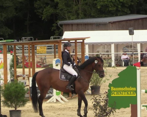 Reitturnier Clarholz 2022