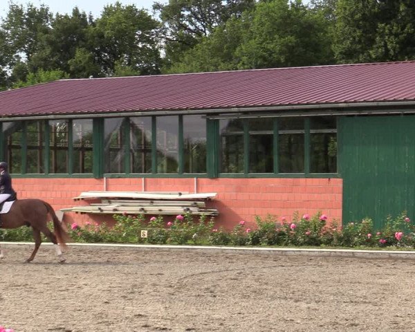 Reitturnier Schwanewede  2022