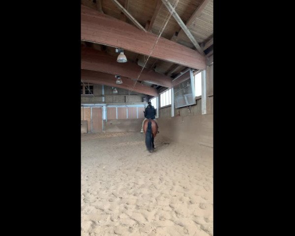 Video of Ratina Z