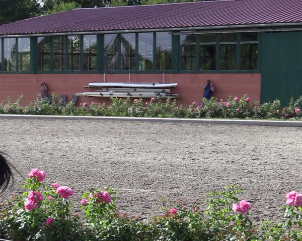 Reitturnier Schwanewede  2022