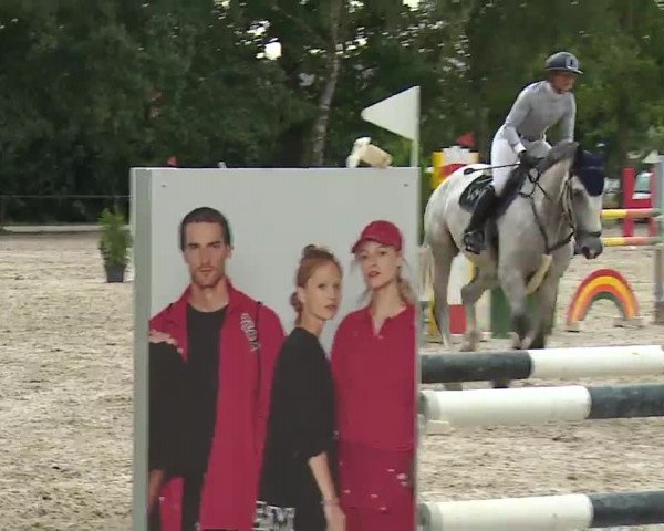Reitturnier Rot am See- Musdorf 2022