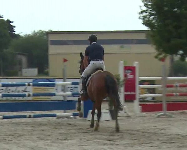 Reitturnier Rot am See- Musdorf 2022