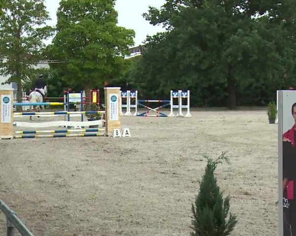 Reitturnier Rot am See- Musdorf 2022