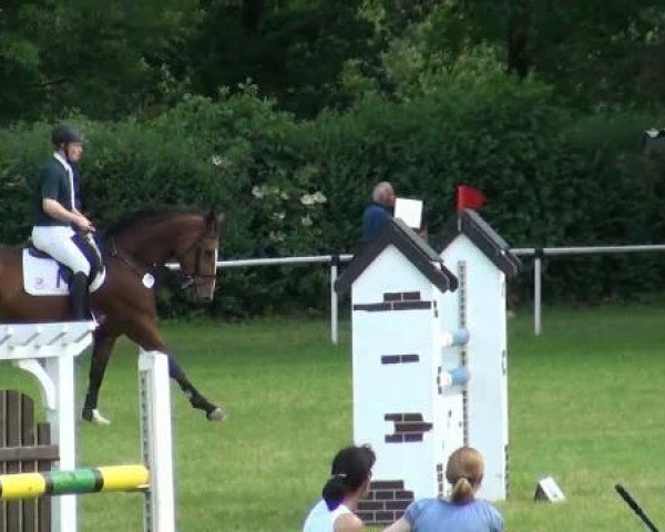 broodmare Susi Rose (Westphalian, 2005, from Hornet Rose)