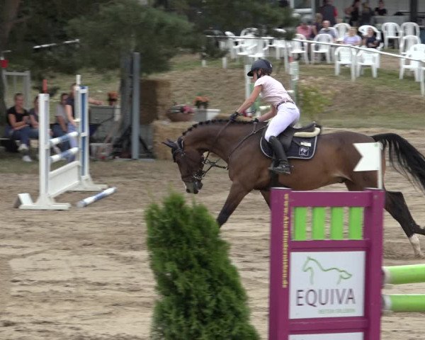Reitturnier Volkmarode 2022