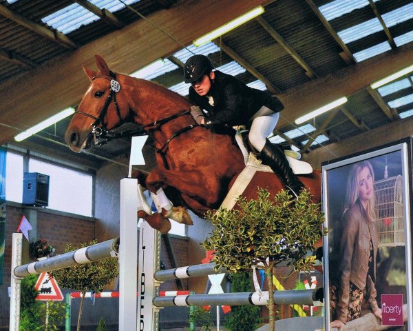 broodmare Zalina (Oldenburg, 1999, from Zapateado 128 FIN)