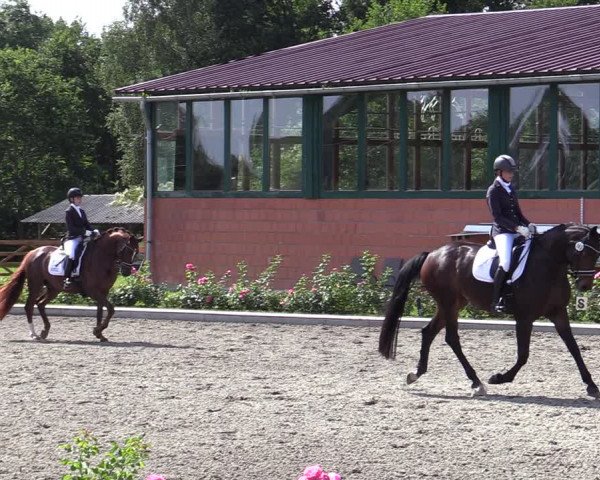 Reitturnier Schwanewede  2022
