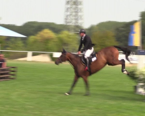 Reitturnier Baschütz bei Bautzen 2022