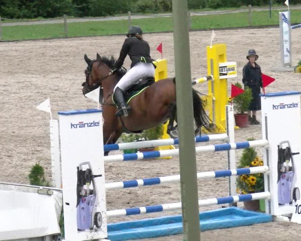 Reitturnier Gossau 2022
